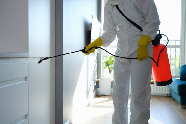 Certified Mold Removal in Grasonville, MD